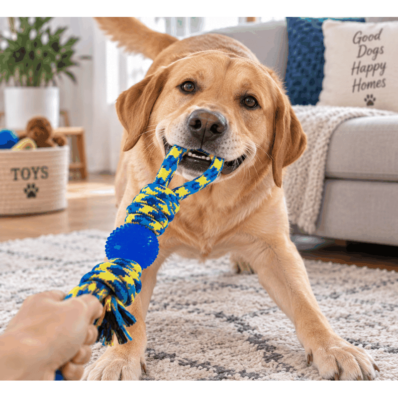 Knotted Rope with 2 Rings Dog Toy (2 pack)