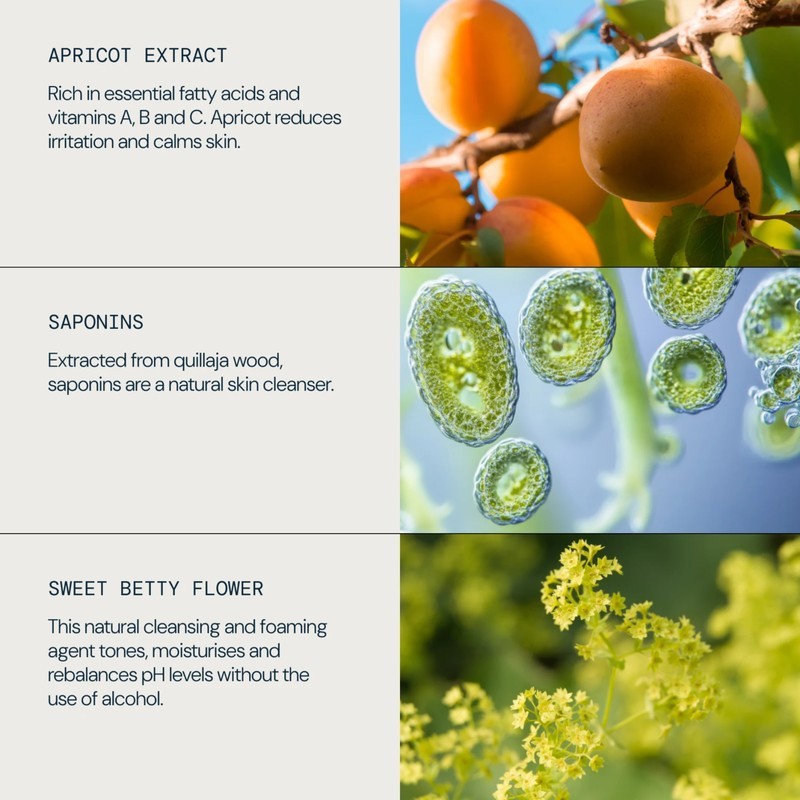 Soothing Apricot Toner